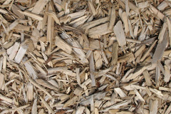 biomass boilers Sansaw Heath