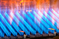 Sansaw Heath gas fired boilers
